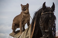 rencontres animalières avec « les Baladins de la Valée d'Argent »