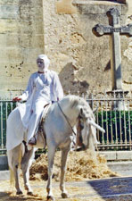 licorne