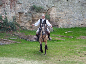 Dressage de cheval