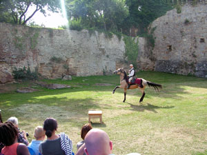 le cheval imaginé