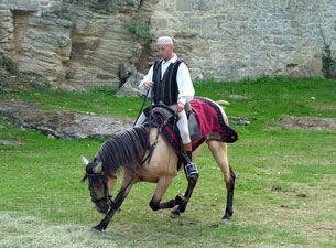 Le salut du cheval