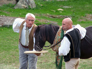 poney qui mange