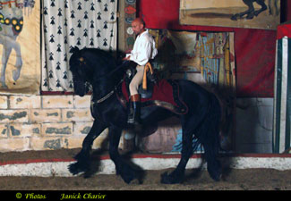 frison