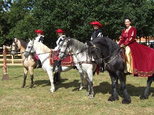 renaissance chevaux