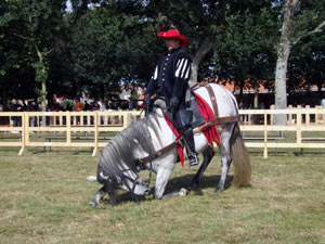 renaissance chevaux