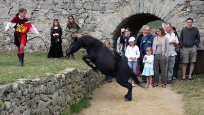 le saut du poney