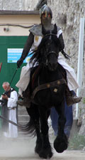 Tournoi de chevalerie