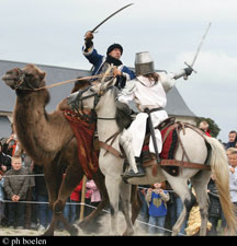 Combat de Chevaliers