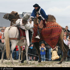 Combat de Chevaliers