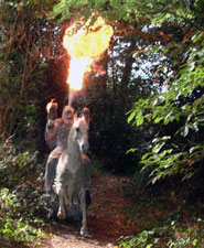 gargouille cracheur de feu à cheval