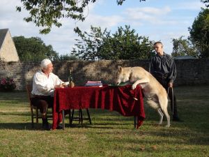 loup à table