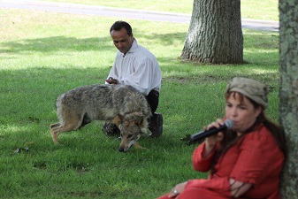 loup