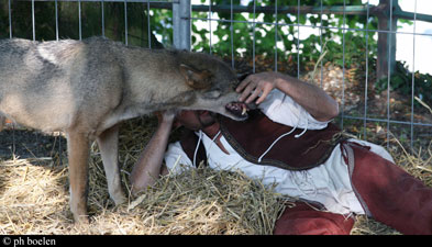 les dents du loup