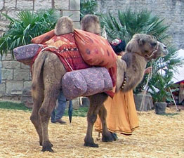 caravane du Père Noël
