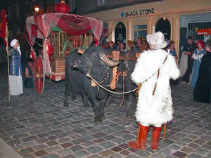 chariot à boeufs