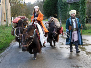 Promenade à dos de yak