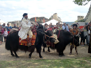 Promenade à dos de yak