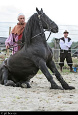 La fantaisie equestre