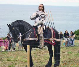 Le serment des chevaliers