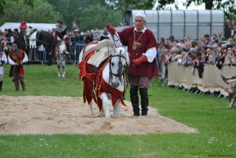 Les Baladins de la vallée d'Argent Tournoi de chevalerie