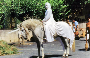 Licorne