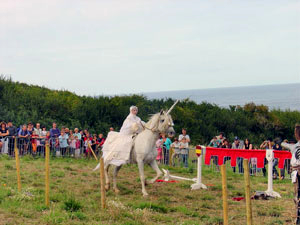 la Licorne