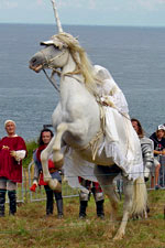 la Licorne