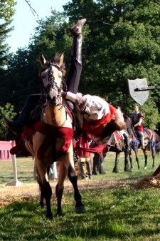 tournoi de chevalerie et cascades