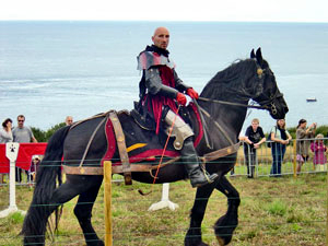 Un chevalier et son destrier noir