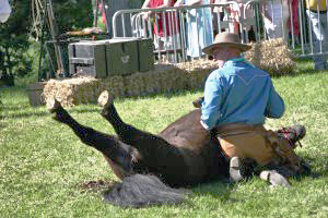 Cowboy
