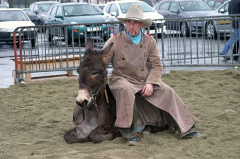 cowboy